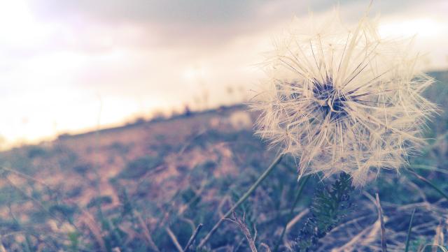 Dreaming Is Believing =)