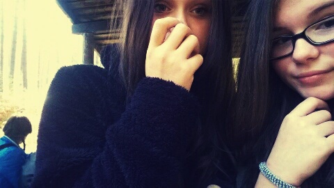 Wpis pieselek