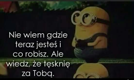 Wpis brutuspl