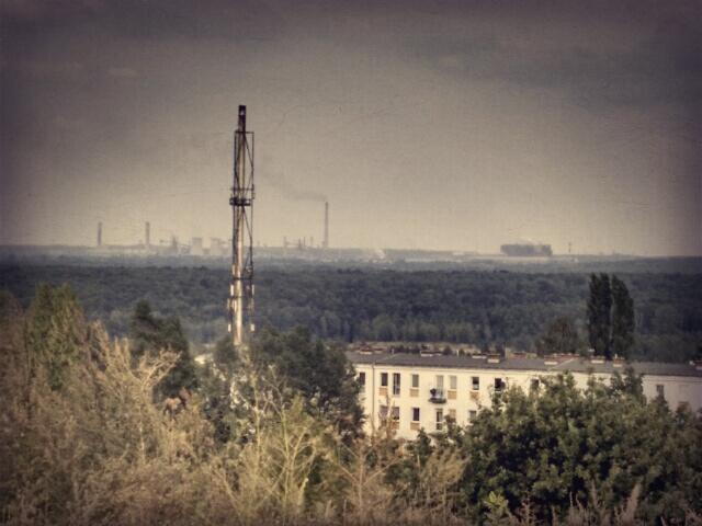 Wpis filorux