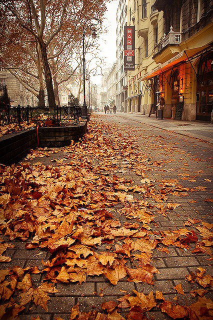 autumn depresion