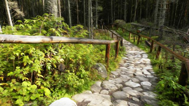 Nad Morskie Oko i Czarny Staw