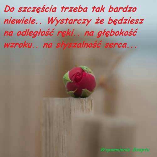 Wpis zuza31