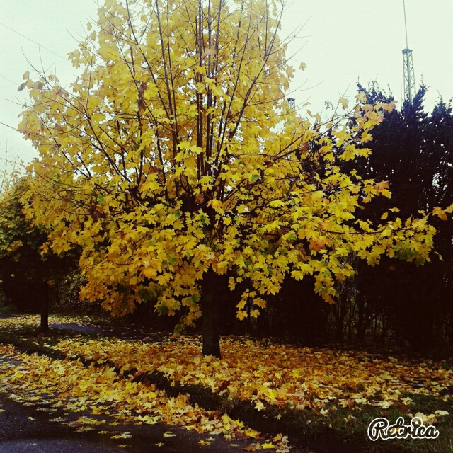 Wpis malinka7654