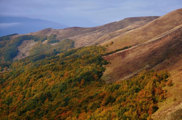 Bieszczady, 10.10.2015