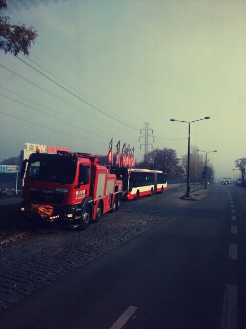 Wpis filorux