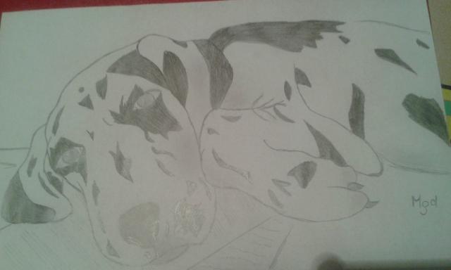 Wpis artbymaddie
