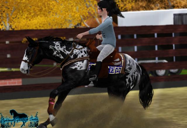 Wpis lightwood09