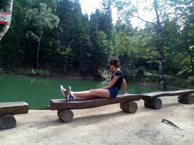 Wpis narvanah