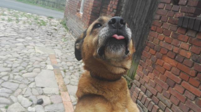 Szczcie moe rnie wyglda