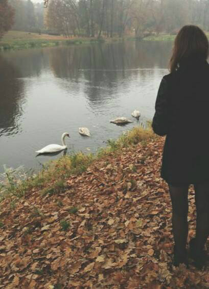 Wpis dobrzyyk