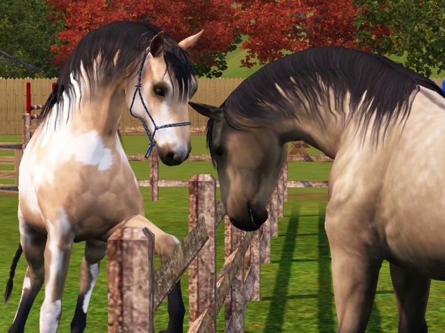 Wpis apstables