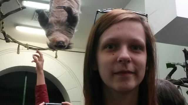 zoo