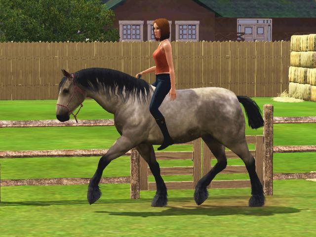 Wpis apstables