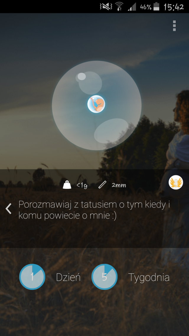 Wpis malutkieserce