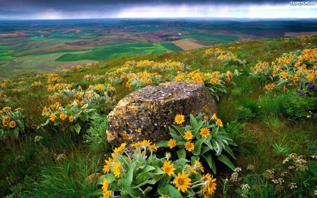 Bg by zazdrosny to na pewno...