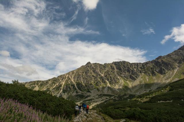 tatry