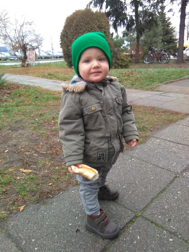 Igor kontra kaczki
