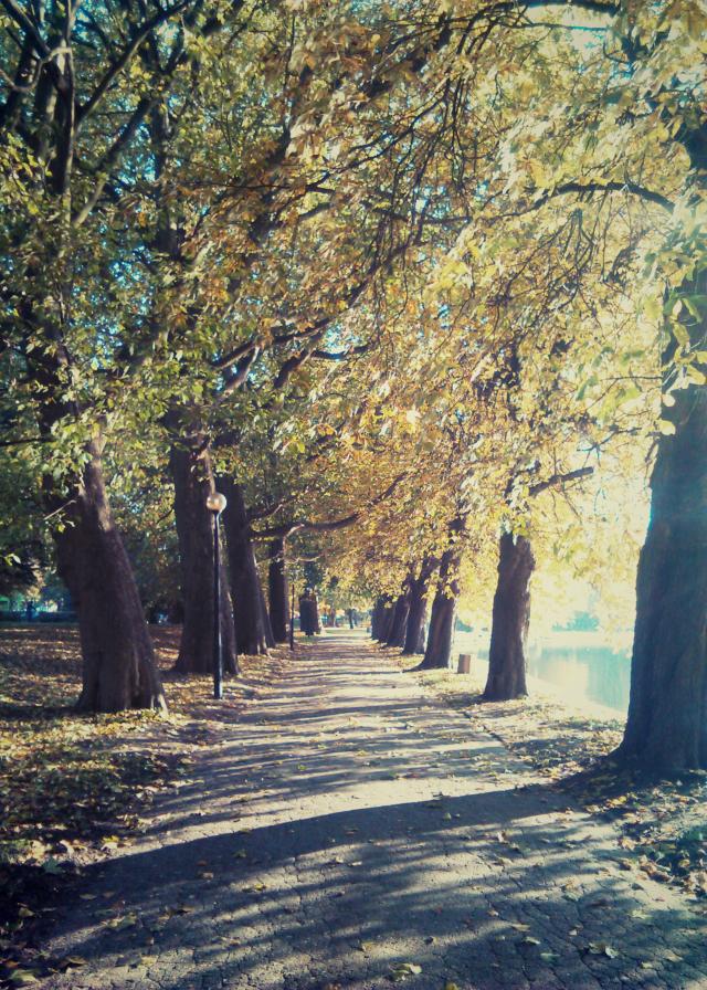 Gorzw Wlkp. - 28.10.2015r.