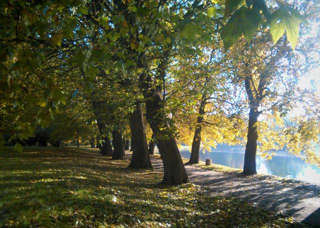Gorzw Wlkp. - 28.10.2015r.