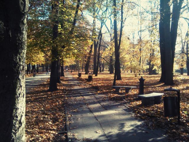 Kielce, 02.11.2015