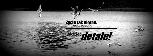 Wpis xchilloutxdd
