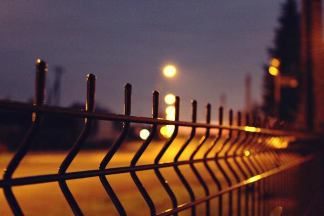 lights.