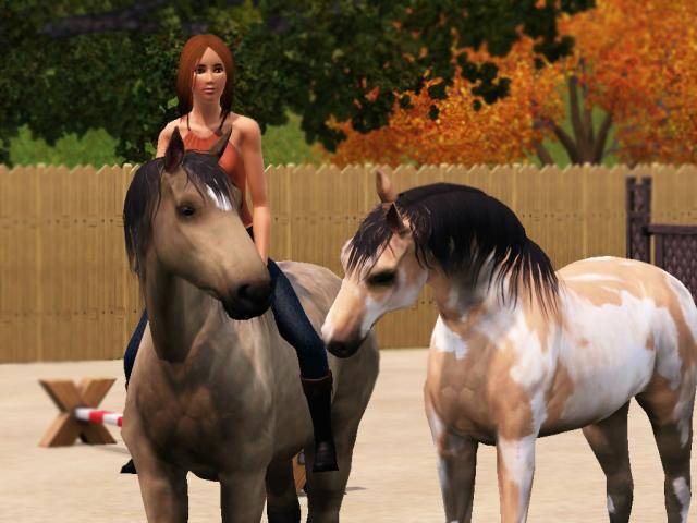 Wpis apstables