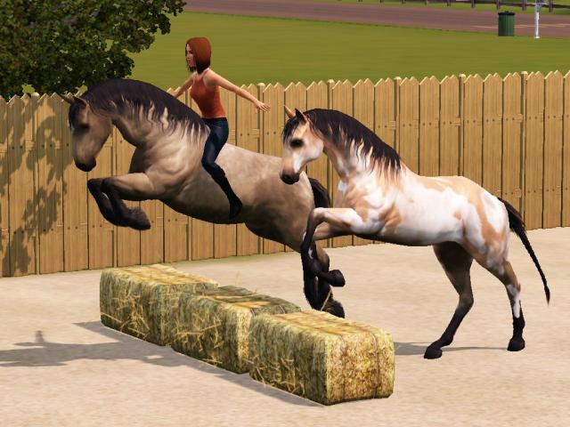 Wpis apstables
