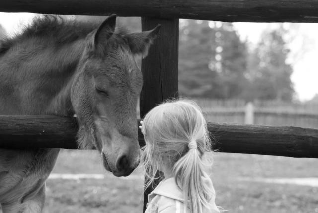 Horse&Girl