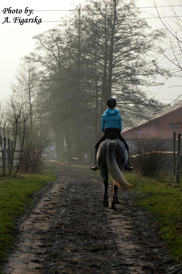 Wpis kaszmirowi
