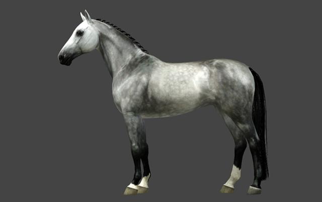 Equus'owy Prezent pod choink