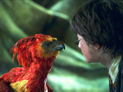 Fawkes z popiow.