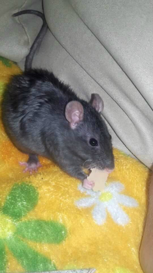 Podsumowanie...