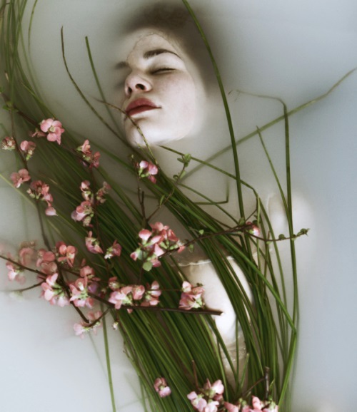 Wpis purebeing
