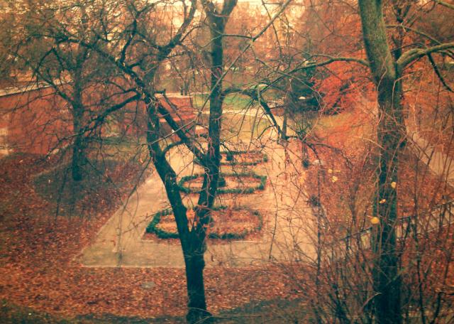 Olsztyn, 12.11.2015 r.