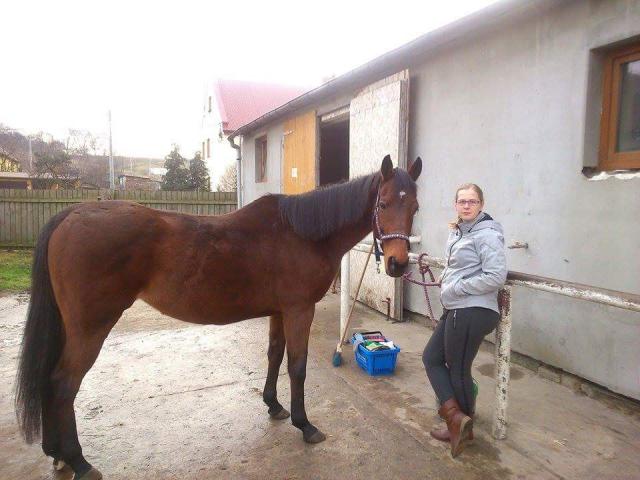 Wpis florekpotworekk
