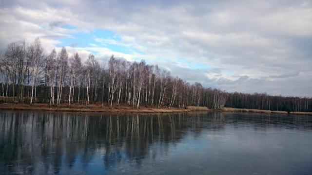 Wpis krecikrch