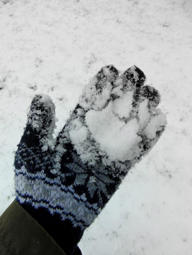 My glove