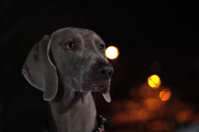 Wpis goodwishweims