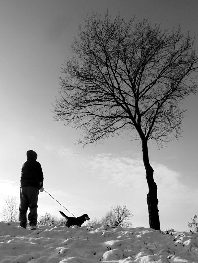 Dog and child
