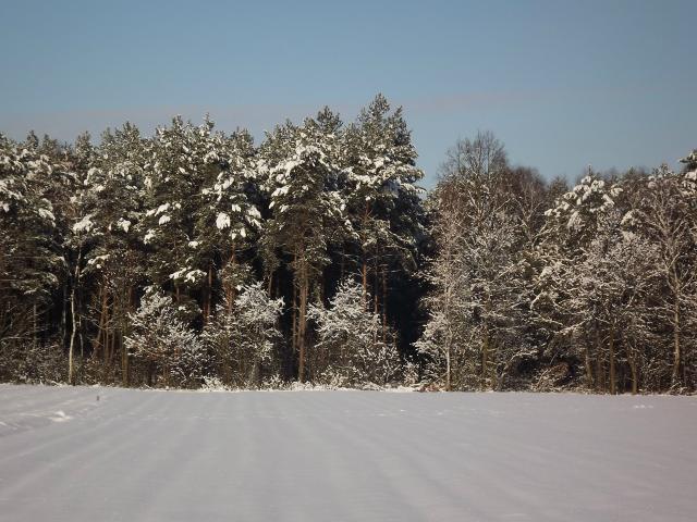 2.