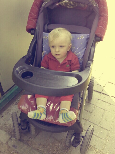 Wpis agneskwiatek