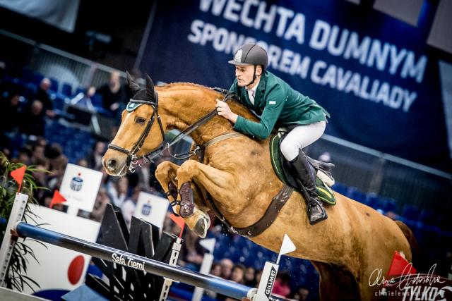 Wpis equinephoto
