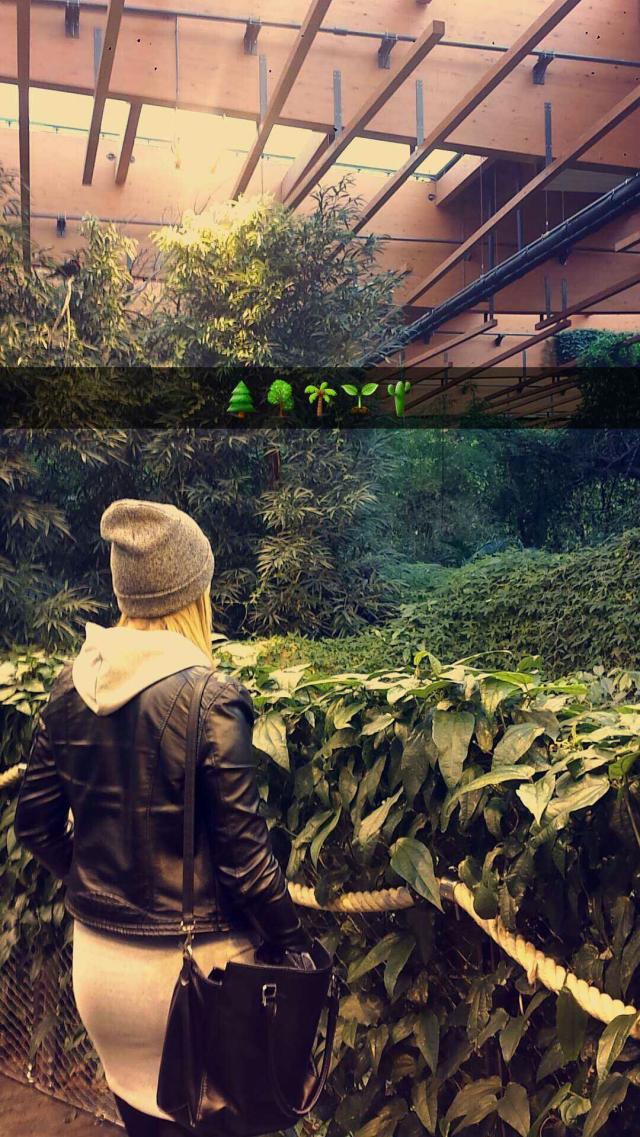 Wpis seemslikelovestory