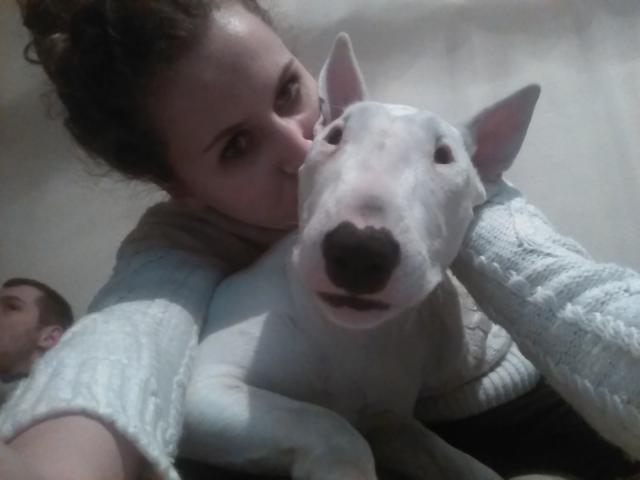 Wpis bullprada