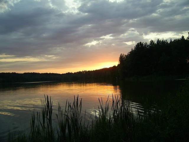 Wpis onisienka