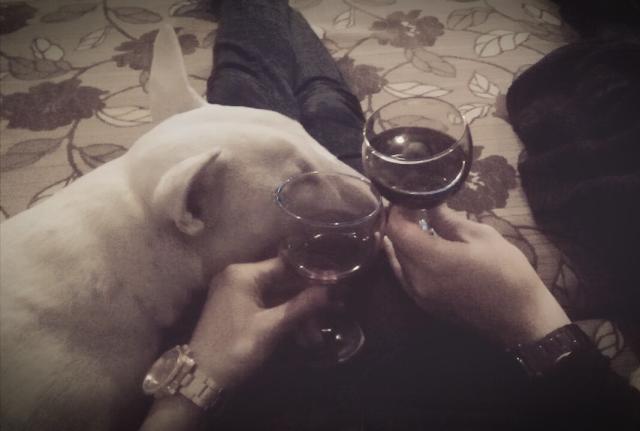 Wpis bullprada