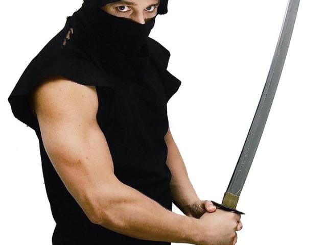 Ninja