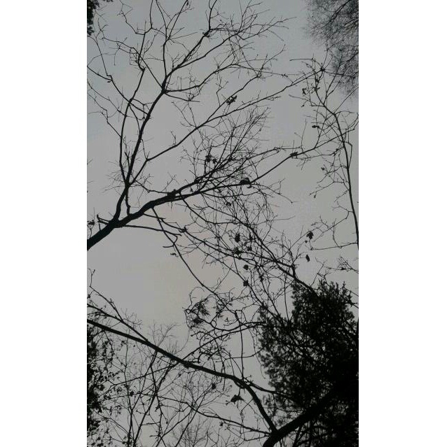 28.02.2016